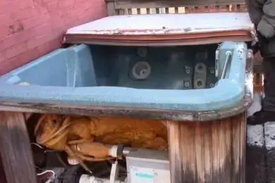 Hot Tub Removal Service in Pompano, Beach.