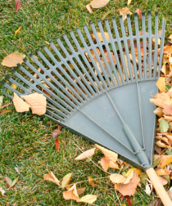 house and garage cleanouts services