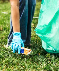 trash removal service